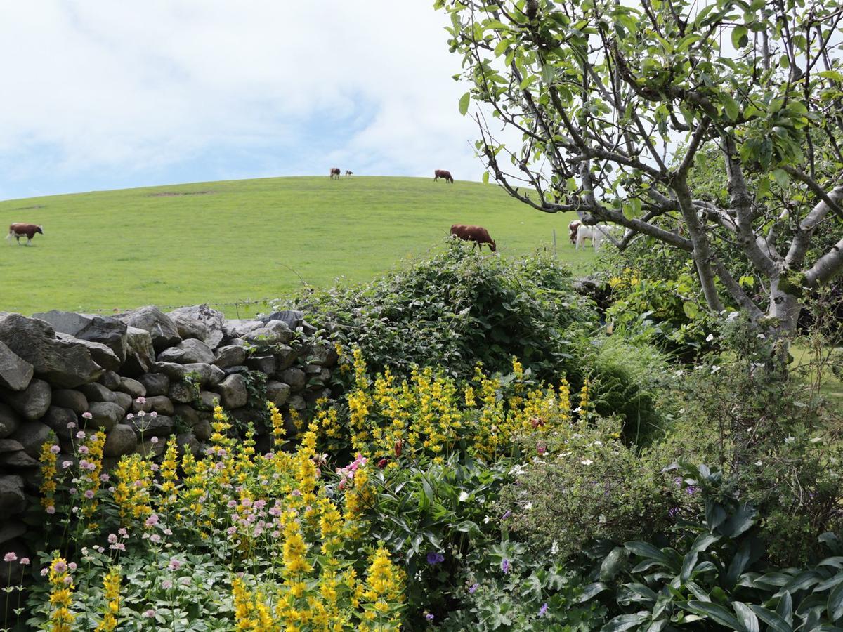 Waingate Cottage Cark Exterior foto